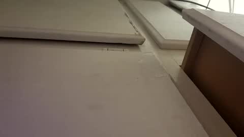 Luis online show from October 2025 10:02:02 AM