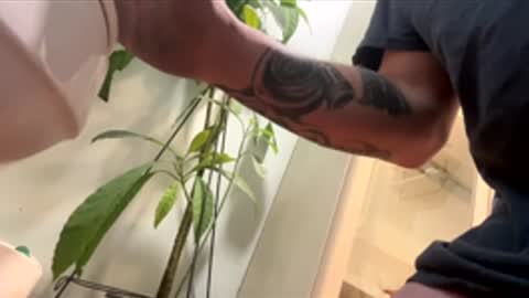 teet69 online show from March 2026 10:15:02 PM