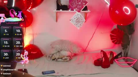 tefy_bratz online show from February 2025 09:56:01 AM