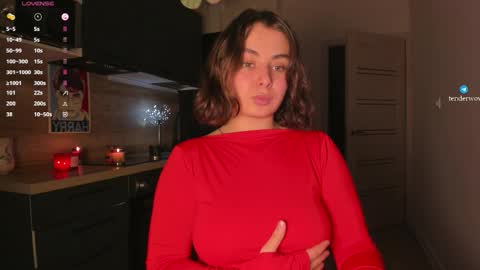 Snapshot of tenderwow chatting on November 2025 03:34:01 PM tenderwow online show from November 2025 03:34:01 PM