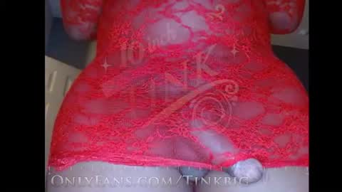 Snapshot of teninchtink chatting on October 2025 12:24:02 PM Tinkerbell online show from October 2025 12:24:02 PM