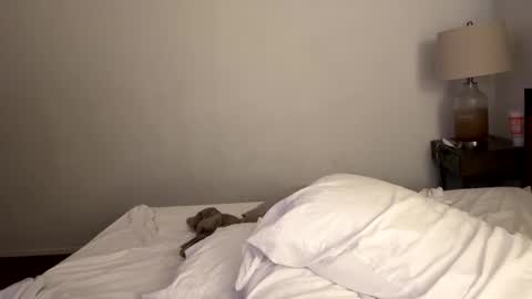 Tennman online show from February 2025 02:43:01 PM