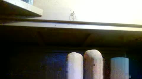 terdy2366 online show from October 2025 08:03:01 AM