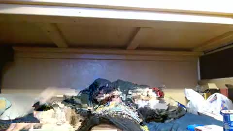 terdy2366 online show from October 2025 06:02:02 AM