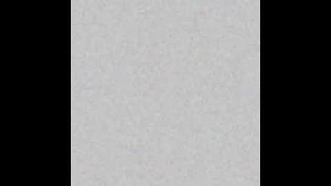 teslas_369 online show from January 2026 09:58:02 AM