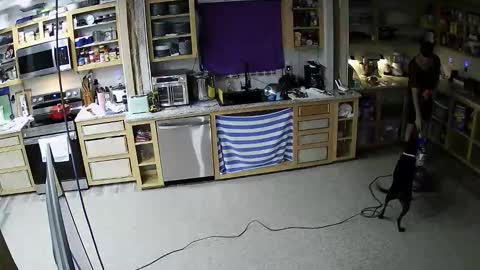 tgirllover69141980 online show from November 2025 01:38:01 AM