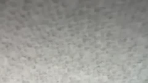 Snapshot of thankyoudaddy1 chatting on October 2025 01:53:02 AM thankyoudaddy1 online show from October 2025 01:53:02 AM