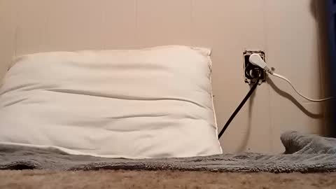 thatb1 online show from November 2025 01:27:02 AM