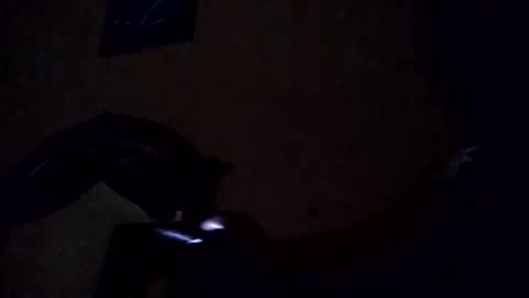 the_invincible_1 online show from October 2025 09:54:02 AM