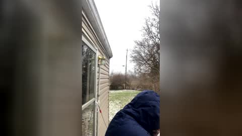 the_invincible_1 online show from January 2026 01:49:01 PM