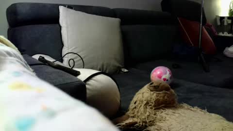 Stephan 34  Cassandra 25 online show from April 2026 09:04:02 PM