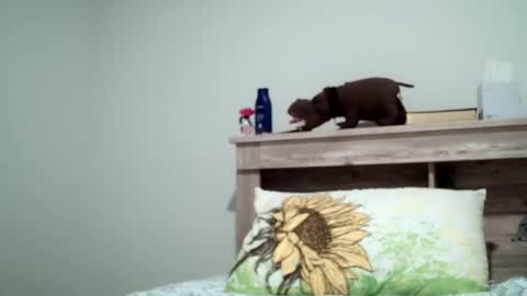 the_sam_ online show from February 2025 01:54:01 AM