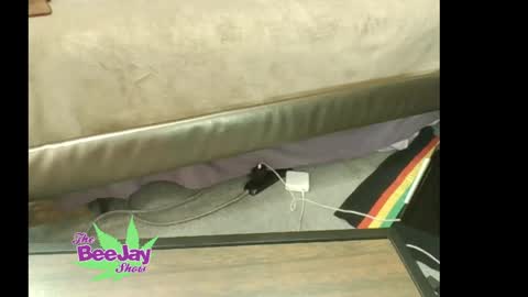 Snapshot of thebeejayshow chatting on May 2026 01:48:02 PM TheBeeJayShow online show from May 2026 01:48:02 PM