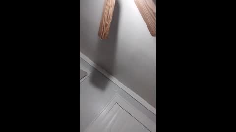 thedailyshower online show from March 2026 06:06:01 AM