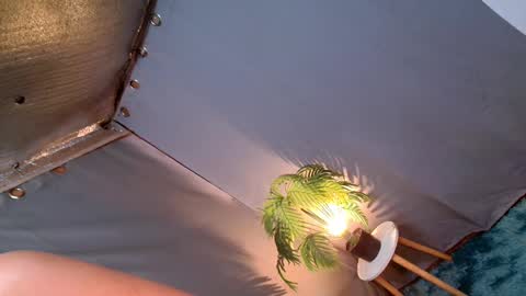 Lana But you can spell it backwards online show from December 2024 12:05:01 AM