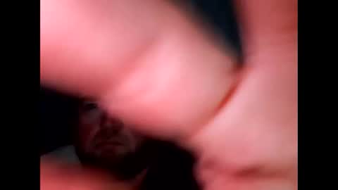 BigDan online show from March 2026 06:34:02 PM