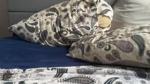 theeshooterr online show from December 2024 06:22:01 PM