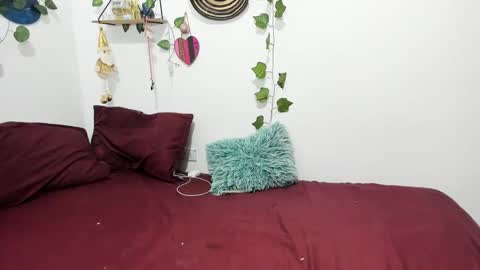 Ariamapola88 online show from January 2025 05:31:02 AM