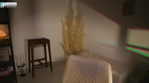   Streaming mostly at    online show from January 2025 10:48:01 PM