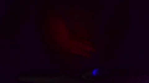 thegreat6268469 online show from March 2025 05:28:01 AM