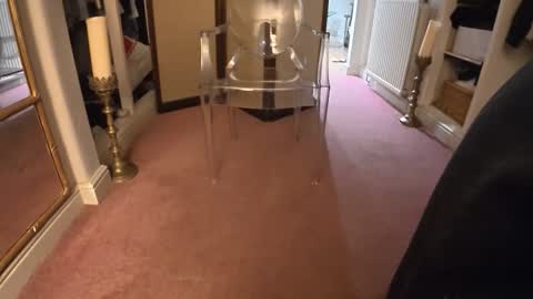 theladyduchess online show from February 2026 12:25:02 AM