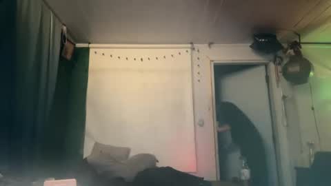 theonlyboi43ver online show from December 2024 10:35:02 AM