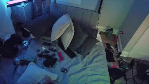 Snapshot of theperfectbottom chatting on November 2025 11:49:01 AM theperfectbottom online show from November 2025 11:49:01 AM