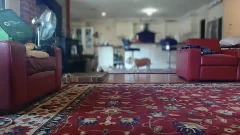 Snapshot of therealkurva4u chatting on February 2025 05:08:01 AM therealkurva4u online show from February 2025 05:08:01 AM