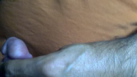 thesash online show from February 2025 09:36:02 AM