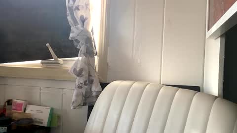 The Sasha Domme online show from October 2025 05:54:01 PM