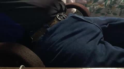 thetnguy online show from March 2025 06:23:01 PM