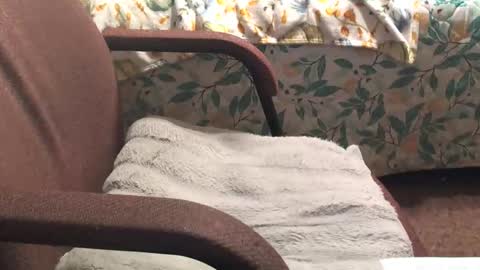 thetnguy online show from April 2026 12:46:02 AM