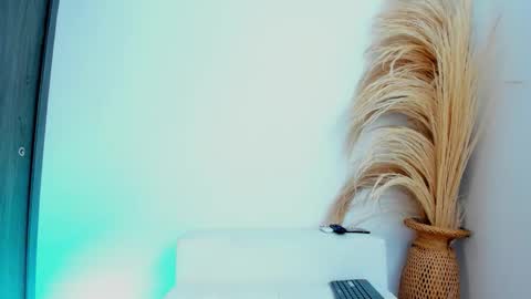 Thiago  online show from December 2025 06:13:02 PM