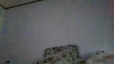 Snapshot of thickassazn93 chatting on September 2025 07:08:01 PM thickassazn93 online show from September 2025 07:08:01 PM