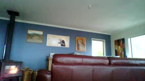 Snapshot of thickcockat71 chatting on July 2026 08:17:02 PM Thickcockat71 online show from July 2026 08:17:02 PM