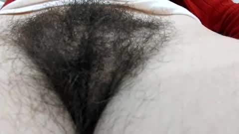 Snapshot of thickforest chatting on December 2024 05:26:01 PM MilkyChoco online show from December 2024 05:26:01 PM