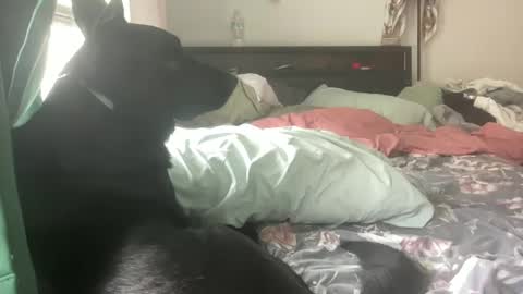 throatyygoat online show from September 2025 06:53:02 PM