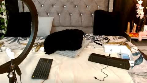 tiffany_sander online show from March 2025 01:00:02 AM