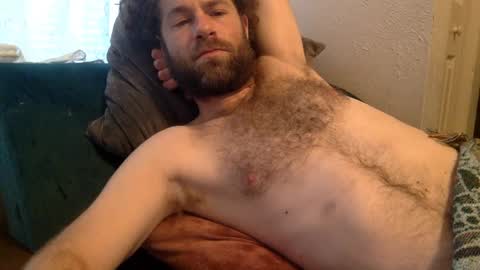 tigerzaddy online show from December 2024 02:41:02 PM
