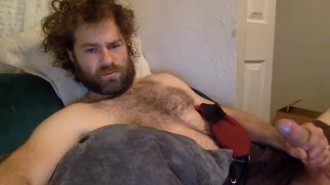 tigerzaddy online show from December 2024 02:02:01 PM
