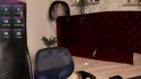 Snapshot of tim__fox chatting on February 2026 11:47:02 AM Tim Fox online show from February 2026 11:47:02 AM