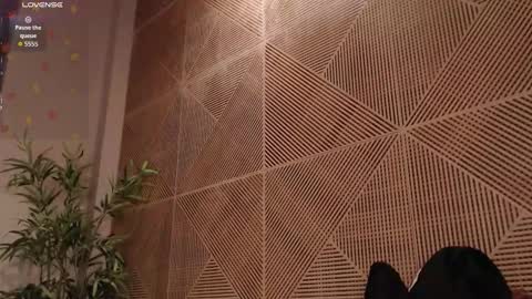 Snapshot of tim__fox chatting on February 2026 12:01:01 PM Tim Fox online show from February 2026 12:01:01 PM