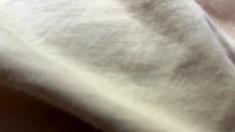 Snapshot of timber2255 chatting on October 2025 02:07:01 PM timber2255 online show from October 2025 02:07:01 PM