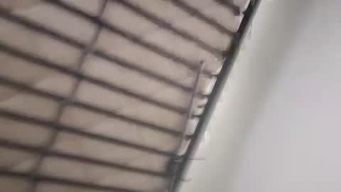 Snapshot of timmy808808 chatting on January 2025 09:25:02 AM timmy808808 online show from January 2025 09:25:02 AM