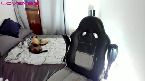 Tina online show from December 2024 09:26:01 PM