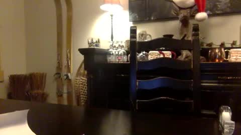 tinyandtatted420 online show from December 2025 01:22:02 AM