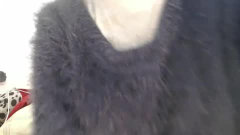 tinyslut66 online show from April 2026 09:54:02 AM