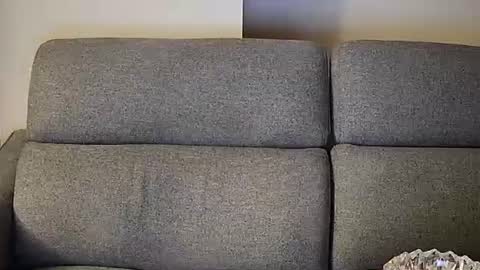 tittylandqc online show from January 2026 05:09:01 AM