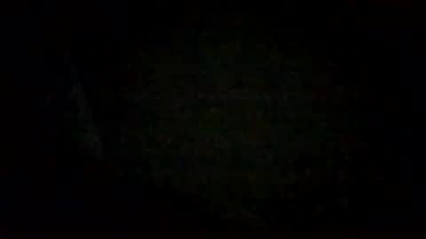 Snapshot of tmsvdc1 chatting on December 2024 06:45:02 AM tmsvdc1 online show from December 2024 06:45:02 AM