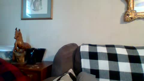 Vols online show from March 2025 08:29:02 PM